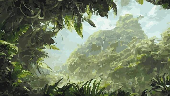 EPS 해외이미지 나무 식물 섬 백그라운드 잎 패턴 일러스트 자연 날씨 손바닥 동양인 야외 그래픽 초록색 빛 뷰티 환경 계곡 봄 줄무늬 성장 숲 열대우림 포장지 사인 그림 복고 하와이 코코넛 공상 에콰도르 내추럴 동물상 수목 양치류 엘리먼트 이국적 벡터 해외202310 해외일러스트 손 계절 컬러 무늬 과일 포장 인종 조형물 미국 남아메리카 생태계 파일형식