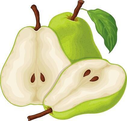 EPS 해외이미지 디자인 유럽 음식 컬러 조각 백그라운드 잎 농업 다이어트 과일 일러스트 자연 디저트 건강 미술 그래픽 초록색 세트 노란색 3D 흰색 신선 달콤 맛 만화 자르기 심볼 오브젝트 싱글 유기농 날것 내추럴 고립 숙성 엘리먼트 채식주의자 벡터 현실 맛있는 해외202310 해외일러스트 식물 웰빙 나라 산업 컨셉 모션 문화예술 디지털합성 생태계 채식 파일형식