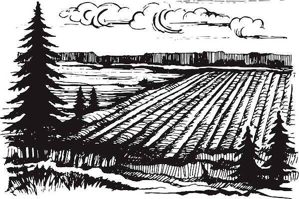 EPS 해외이미지 나무 식물 구름 손 음식 백그라운드 밭 농업 일러스트 자연 하늘 산 주택 미술 풍경 야외 그래픽 초록색 여름 농작물 태양 농장 농경지 라벨 마을 정원 목장 수확 시골 볏짚 낙서 땅 스케치 그림 유기농 판화 내추럴 밭일 생태학 스타일 벡터 해외202310 해외일러스트 자연요소 웰빙 계절 교육 산업 컬러 문화예술 프레임 건물 신체부위 짚 생태계 파일형식