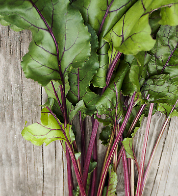 포토 JPG 해외이미지 음식 잎 밭 다이어트 주택 건강 사람없음 목재 빨간색 초록색 농장 성장 신선 유기농 칼로리 내추럴 비트 옛날 해외202310 해외포토 나무 식물 웰빙 컬러 농업 채소 재료 건물 파일형식