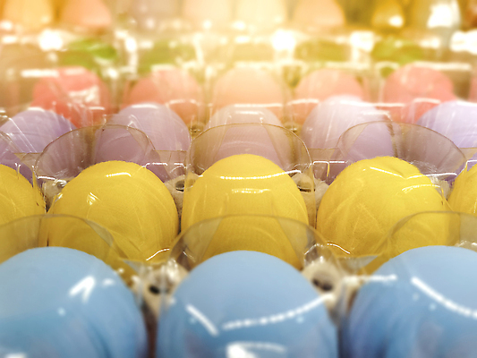 포토 JPG 해외이미지 동물 음식 농업 다이어트 재료 포장 조류 부활절 건강 요리 사람없음 상자 컬러풀 농장 갈색 노란색 주방 계란 치킨 흰색 신선 투명 그룹 시장 아침식사 상품 컨테이너 플라스틱 먹기 유기농 날것 패키지 칼로리 노른자 내추럴 점심식사 고립 단백질 암탉 해외202310 해외포토 웰빙 기념일 산업 컬러 모션 재질 알 식사 닭 암컷 닭고기요리 영양소 파일형식