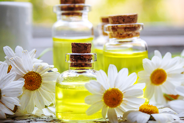 포토 JPG 해외이미지 근접촬영 사람없음 아웃포커스 노란색 오일 아로마테라피 내추럴 에센스 캐모마일 해외202310 해외포토 꽃 음식 뷰포인트 컬러 촬영기법 화장품 허브 테라피 파일형식