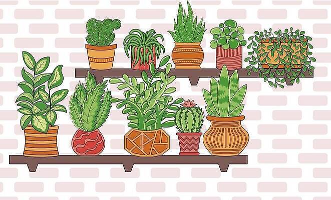 EPS 해외이미지 식물 라이프스타일 디자인 꽃 화분 화초 컬러 백그라운드 컨셉 꽃무늬 일러스트 건축양식 선인장 주택 실내 취미 사람없음 내부 목재 장식 초록색 여름 빛 뷰티 정원 꽃병 봄 방 성장 냄비 오브젝트 원예 내추럴 다육식물 심기 알로에 벡터 비어있는 해외202310 해외일러스트 나무 계절 건축 무늬 재료 모션 건물 생활 솥 파일형식