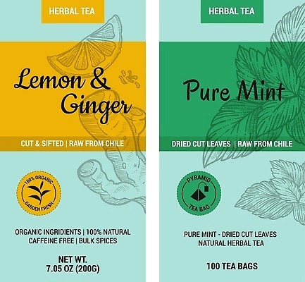 EPS 해외이미지 일러스트 사람없음 초록색 노란색 스케치 레몬 드로잉 생강 민트색 페퍼민트 해외202310 해외일러스트 컬러 채소 과일 미술 민트 파일형식 벡터