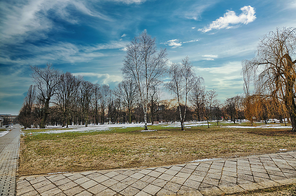 포토 JPG 해외이미지 나무 공원 도로 여행 잎 겨울 자연 하늘 풍경 사람없음 야외 초록색 걷기 정원 도시 광택 폴란드 랜드마크 바르샤바 해외202310 해외포토 식물 계절 공공시설 유럽 길 컬러 교통시설 모션 생태계 파일형식
