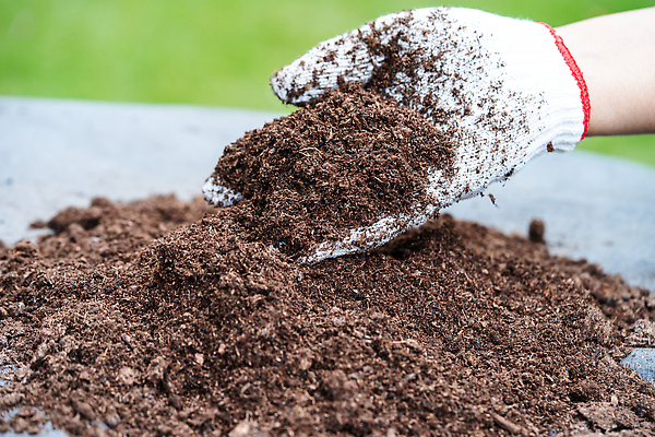 포토 JPG 해외이미지 나무 식물 손 공원 여자 지구 농업 자연 사람 취미 사람없음 초록색 흙 봄 성장 신선 잡기 냄비 작음 컨테이너 삽 유기농 원예 머리위 내추럴 개선 모종 생태학 심기 업그레이드 전염병 해외202310 해외포토 웰빙 계절 공공시설 교육 산업 컬러 모션 신체부위 질병 솥 크기 생태계 파일형식