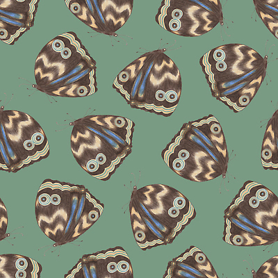 포토 JPG 해외이미지 동물 템플릿 디자인 야생동물 컬러 나비 곤충 백그라운드 일러스트 자연 생물 미술 사람없음 그래픽 장식 컬러풀 환경 여러개 생물학 크레파스 치수 손그림 내추럴 동물상 똑같은 혼란 많음 해외202310 해외일러스트 교육 다수 컨셉 문화예술 학용품 조형물 생태계 파일형식