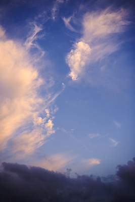 포토 JPG 해외이미지 계절 컬러 백그라운드 자연 하늘 미래 사람없음 야외 세로 파란색 빛 컬러풀 햇빛 태양 뷰티 우주 환경 맑음 자유 흰색 오픈 분위기 장면 천국 내추럴 가능 카피스페이스 해외202310 해외포토 자연요소 컨셉 날씨 공백 생태계 파일형식