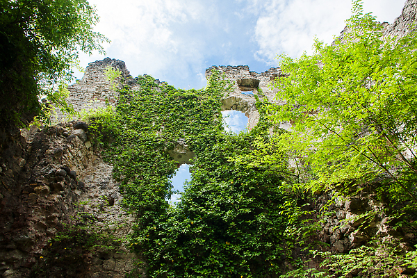 포토 JPG 해외이미지 나무 유럽 벽 여행 백그라운드 건축양식 자연 하늘 산 졸업생 사람없음 야외 건물 초록색 파란색 뷰티 성 중세 역사 재산 숲 버리기 언덕 폐허 타운 크로아티아 강화 랜드마크 옛날 파멸 해외202310 해외포토 식물 건축물 건축 나라 컬러 컨셉 졸업 모션 금융 도시 생태계 파일형식 소멸