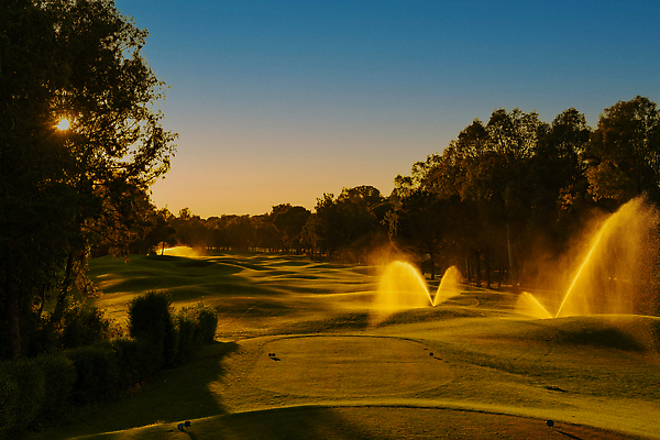 포토 JPG 해외이미지 나무 라이프스타일 호수 스포츠 백그라운드 밭 골프 골프장 자연 놀이 하늘 파노라마 잔디 취미 사람없음 야외 초록색 물 파란색 햇빛 일출 맑음 황혼 일몰 골프채 게임 소나무 강의 클럽 휴양지 칠면조 페어웨이 비어있는 해외202310 해외포토 자연요소 식물 컬러 농업 스포츠시설 조류 날씨 골프용품 촬영기법 생활 태양 구기 노을 장소 생태계 파일형식