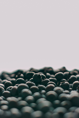 포토 JPG 해외이미지 잡화 열매 음식 컬러 백그라운드 패턴 농업 다이어트 과일 자연 디저트 건강 요리 사람없음 여름 파란색 농작물 검은색 수확 신선 원형 그룹 시장 달콤 맛 숲 먹기 유기농 원예 블루베리 날것 흙더미 내추럴 숙성 채식주의자 많음 맛있는 해외202310 해외포토 도형 식물 웰빙 계절 산업 컨셉 무늬 모션 취미 흙 생태계 채식 파일형식 더미