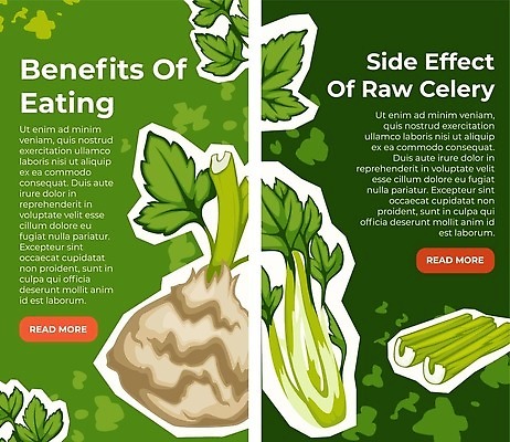 EPS 해외이미지 음료 음식 잎 다이어트 채소 일러스트 재료 건강 식이요법 요리 식사 샐러드 에너지 신선 막대기 먹기 허브 상쾌 유기농 채식 날것 심플 레시피 이익 밀짚 내추럴 스무디 채식주의자 벡터 디톡스 비건 맛있는 해외202310 해외일러스트 식물 웰빙 감정 모션 짚 파일형식
