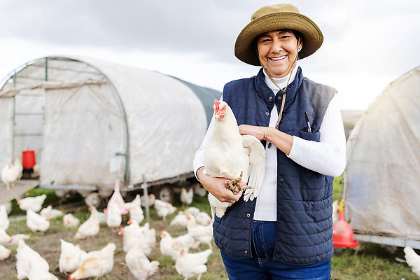 포토 JPG 해외이미지 주간 라이프스타일 남자 여러마리 안기 한명 상반신 성인 야외 앞모습 농장 닭 축산업 농부 비닐하우스 전원생활 양계장 성인남자한명만 쓰다듬기 해외202310 해외포토 자연요소 직업 1 산업 뷰포인트 다수 농업 모션 조류 사람 생활 남자한명만 성인남자만 파일형식