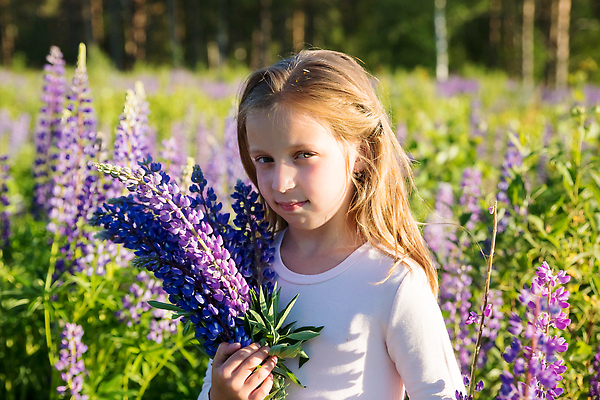 포토 JPG 해외이미지 식물 라이프스타일 드레스 꽃 행복 어린이 꽃다발 꽃무늬 밭 자연 한명 미소 야외 초록색 여름 뷰티 정원 맑음 보라색 일몰 봄 기쁨 꿈 들꽃 자유 벚꽃 작음 제비꽃 내추럴 해외202310 해외포토 1 옷 계절 감정 컬러 컨셉 무늬 농업 날씨 표정 사람 생활 노을 크기 생태계 파일형식