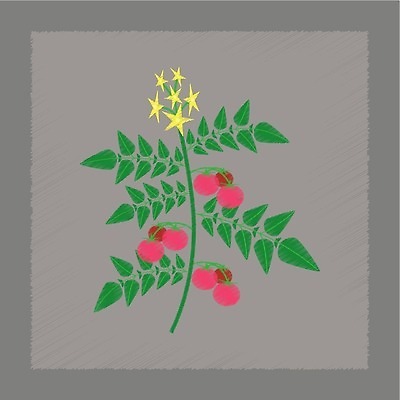 EPS 해외이미지 식물 계절 꽃 음식 잎 농업 다이어트 토마토 채소 과일 일러스트 자연 건강 여름 정원 봄 성장 나뭇가지 신선 플랫 냄비 허브 비타민 광합성 채식주의자 스타일 세련 해외202310 해외일러스트 나무 산업 솥 생태계 채식 영양소 파일형식 벡터