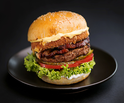 포토 JPG 해외이미지 접시 사람없음 한개 소고기버거 수제햄버거 치즈버거 해외202310 해외포토 1 식기 햄버거 파일형식