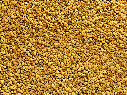 포토 JPG 해외이미지 음식 백그라운드 컨셉 오렌지 재료 자연 건강 사람없음 약 갈색 노란색 꿀벌 낟알 벌 유기농 질감 날것 꽃가루 꿀 내추럴 보충 단백질 해외202310 해외포토 웰빙 컬러 곤충 과일 의학 벌_곤충 가루 생태계 영양소 파일형식