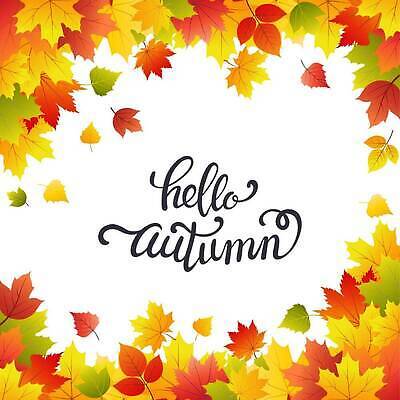 EPS 해외이미지 나무 식물 템플릿 디자인 배너 계절 포스터 컬러 백그라운드 컨셉 단풍 잎 꽃무늬 오렌지 일러스트 자연 벽지 추상 휴가 프레임 선물 미술 장식 빨간색 컬러풀 뷰티 갈색 노란색 라벨 세일 우주 환경 공백 소용돌이 가을 나뭇가지 신용카드 황금 9월 사인 질감 10월 엘리먼트 벡터 국경 해외202310 해외일러스트 꽃 무늬 과일 문화예술 금융 회오리 날짜 생태계 파일형식