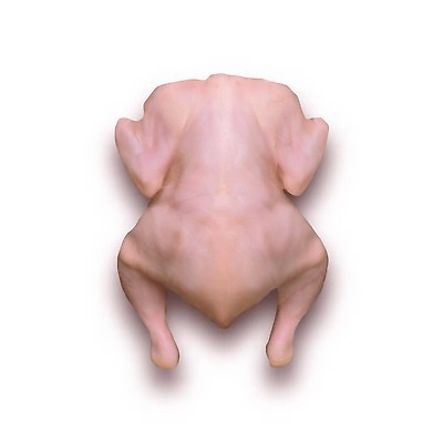 EPS 해외이미지 잡화 음식 분홍색 백그라운드 다이어트 일러스트 재료 조류 실내 건강 육류 요리 농장 식사 치킨 흰색 신선 상품 정상 큼 가슴 굽기 가득함 피부 오브젝트 준비 유기농 날것 레시피 길이 칠면조 항공촬영 고립 단백질 생식 암탉 벡터 해외202310 해외일러스트 동물 웰빙 뷰포인트 컬러 농업 식재료 내부 신체부위 닭 크기 암컷 구이 닭고기요리 영양소 파일형식