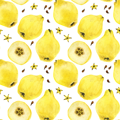 포토 JPG 해외이미지 식물 음식 꽃무늬 다이어트 채소 과일 일러스트 자연 디저트 건강 미술 씨앗 사람없음 노란색 페인트 주스 나뭇가지 신선 달콤 사과 오브젝트 유기농 원예 고립 해외202310 해외일러스트 나무 웰빙 꽃 음료 컬러 무늬 문화예술 취미 맛 생태계 파일형식