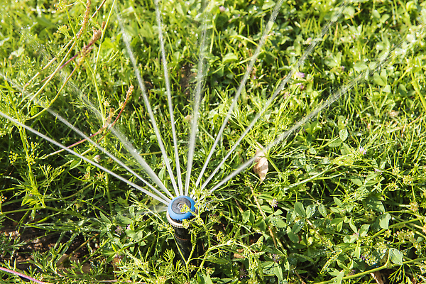 포토 JPG 해외이미지 식물 공원 자연 추상 잔디 사람없음 야외 초록색 여름 뷰티 환경 정원 봄 젖음 뜨거움 수분 묘사 물주기 원예 분무기 내추럴 해외202310 해외포토 계절 공공시설 컬러 무늬 모션 취미 생태계 파일형식