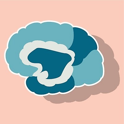 EPS 해외이미지 디자인 교육 선 컬러 과학 스티커 신체 일러스트 해부 흑백 사람 빛 머리 수확 골동품 흰색 마음 그리기 스케치 스마트 뇌 복고 생물학 만들기 옛날 지능 해외202310 해외일러스트 컨셉 농업 의학 모션 촬영기법 미술 신체부위 파일형식 벡터