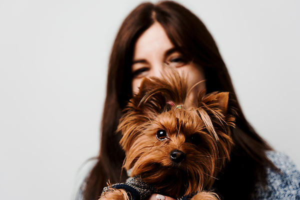 포토 JPG 해외이미지 동물 1 응시 백그라운드 장난 자연 실내 사람없음 반려동물 뷰티 갈색 귀여움 흰색 개 강아지 작음 요크셔테리어 테리어 즐거움 만족 흰배경 송곳니 고립 미니 순혈 해외202310 해외포토 시선 감정 컬러 컨셉 포유류 내부 치아 크기 생태계 파일형식