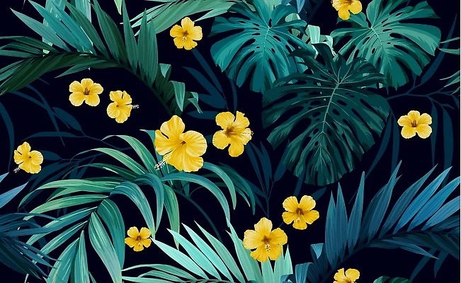 EPS 해외이미지 나무 식물 디자인 꽃 백그라운드 잎 꽃무늬 패턴 일러스트 자연 벽지 열대 손바닥 미술 초록색 빛 노란색 유행 어둠 직물 그리기 야간 숲 인쇄 열대우림 휴양지 질감 캘리포니아 이국적 파라다이스 하와이인 히비스커스 벡터 알로하 브라질사람 해외202310 해외일러스트 자연요소 외국인 손 컬러 무늬 모션 문화예술 미국 장소 인사 생태계 파일형식