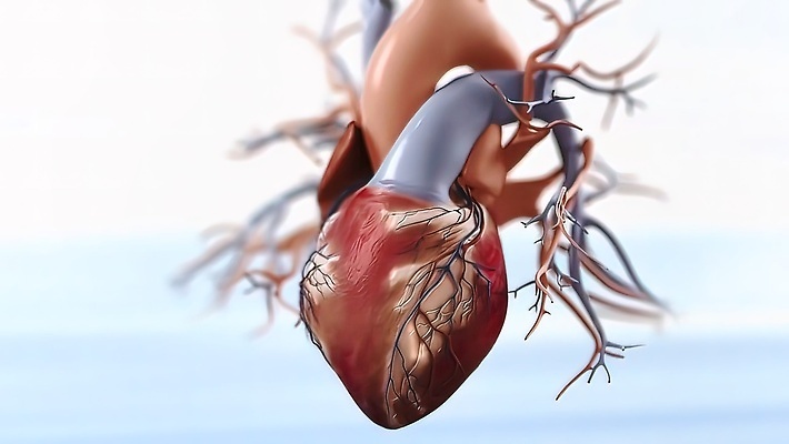 포토 JPG 해외이미지 커피 스트레스 건강 사람없음 알약 약 고통 심장 침대 긴급 차 호흡 질병 상처 공격 순환 궤 불평 증상 화상 해외202310 해외포토 감정 음료 가구 의학 모션 장기_의학 파일형식