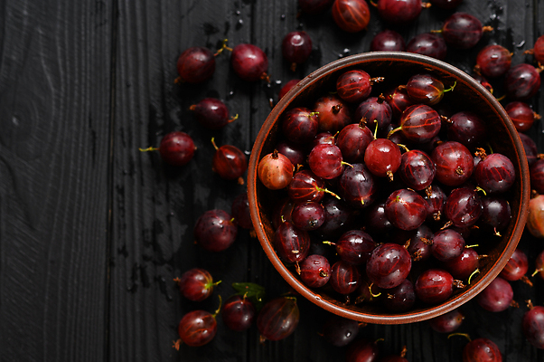 포토 JPG 해외이미지 계절 열매 음식 백그라운드 농업 다이어트 과일 재료 자연 디저트 건강 사람없음 목재 가로 빨간색 초록색 보라색 검은색 어둠 수확 시골 신선 그룹 시장 달콤 큼 먹기 고립 구스베리 밭일 숙성 채식주의자 많음 카피스페이스 비건 해외202310 해외포토 나무 식물 산업 컬러 컨셉 모션 공백 맛 크기 생태계 채식 파일형식