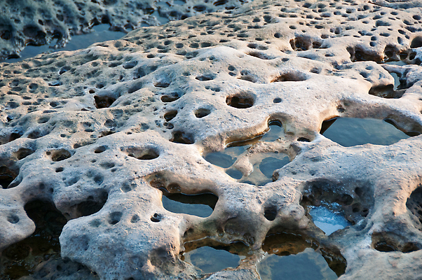 포토 JPG 해외이미지 공원 바다 패턴 자연 사람없음 바위 구멍 대만 내추럴 전국 해외202310 해외포토 공공시설 아시아 무늬 돌_바위 생태계 파일형식