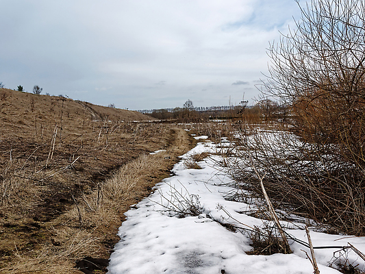 포토 JPG 해외이미지 나무 계절 컬러 여행 백그라운드 자연 하늘 휴식 사람없음 야외 건물 목재 장식 초록색 물 파란색 빛 강 컬러풀 뷰티 반사 교회 일몰 봄 거울 흐름 신선 도시 개울 저녁 숲 작음 속도 질감 러시아 라일락 내추럴 러시아인 현재 해외202310 해외포토 자연요소 서양인 식물 건축물 꽃 유럽 컨셉 재료 종교건축 노을 야간 크기 생태계 파일형식