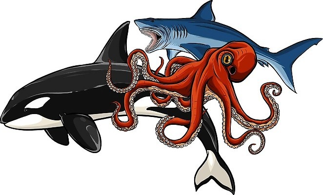 EPS 해외이미지 동물 캐릭터 디자인 행복 야생동물 바다 일러스트 포유류 자연 벽지 조개 열대 불가사리 생물 어류 미소 물 세계 바닷속 수중 수영 다양 게 플랫 산호 거북이 만화 고래 돌고래 문어 암초 서식지 해파리 해마 동물상 이국적 주민 벡터 해외202310 해외일러스트 일러캐릭터 자연요소 감정 다수 파충류 어패류 극피동물 연체동물 표정 갑각류 조형물 바다동물 수중동물 수상스포츠 자포동물 생태계 파일형식