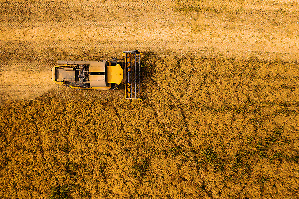 포토 JPG 해외이미지 식물 계절 산업 밭 농업 교통시설 자연 안테나 씨앗 사람없음 농작물 농장 농경지 농사 기계 수확 시골 업무 작업 결합 땅 시리얼 밀 트랙터 드론 밭일 쟁기 세련 해외202310 해외포토 음식 교통 통신 곡류 농기계 시설 생태계 특수차량 파일형식