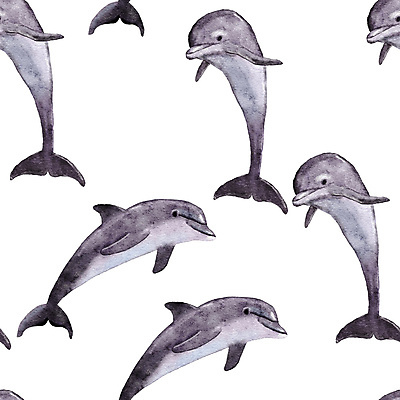 JPG 해외이미지 동물 패턴 일러스트 사람없음 회색 돌고래 해외202310 해외일러스트 컬러 무늬 포유류 수중동물 파일형식