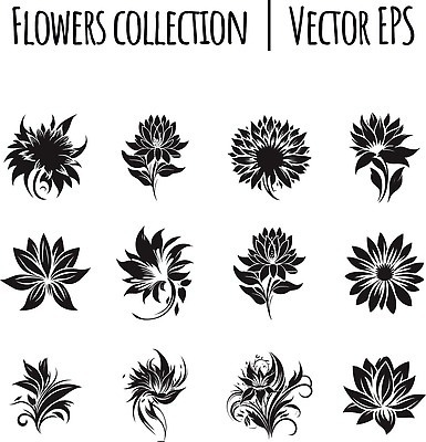 EPS 해외이미지 모양 식물 손 디자인 꽃 꽃다발 잎 꽃무늬 패턴 일러스트 회사 비즈니스 자연 추상 건강 그래픽 장식 세트 뷰티 상점 스파 봄 원형 우아함 수집 심볼 사인 그림 유기농 신분 배지 내추럴 고립 부티크 엘리먼트 벡터 미니멀리스트 해외202310 해외일러스트 도형 웰빙 계절 컨셉 무늬 신체부위 생태계 파일형식