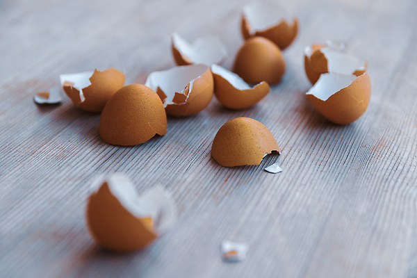 포토 JPG 해외이미지 음식 컨셉 재료 자연 탁자 요리 사람없음 쌓기 환경 주방 계란 재활용 껍질 쓰레기 폐기물 오브젝트 준비 에코 유기농 낭비 내추럴 거름 깨짐 칼슘 해외202310 해외포토 웰빙 가구 모션 알 친환경 생태계 파일형식