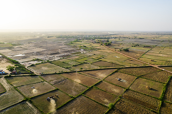 포토 JPG 해외이미지 식물 산업 밭 농업 조류 사람없음 농작물 농장 농경지 기계 흙 장비 수확 시골 작업 땅 밀 정사각형 트랙터 밭일 파종 해외202310 해외포토 도형 동물 곡류 농사 농기계 특수차량 파일형식