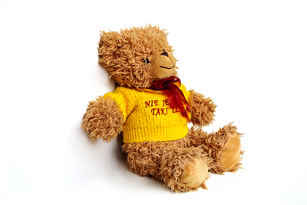 포토 JPG 해외이미지 동물 물결 어린이 인형 백그라운드 셔츠 곰 포옹 놀이 동화 휴가 아이디어 털 창조 선물 사랑 미술 사람없음 장식 장난감 뷰티 갈색 낭만 흰색 뜨개질 작음 모피 오브젝트 부드러움 솜털 수공예 폭식 고립 핸드메이드 해외202310 해외포토 감정 컬러 컨셉 상의 포유류 안기 문화예술 사람 취미 감각 크기 공예 파일형식