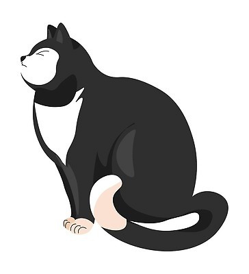 EPS 해외이미지 동물 디자인 응시 일러스트 장난 포유류 자연 영국 수염 털 건강 사랑 장식 빛 반려동물 뷰티 머리 귀여움 고양이 달콤 모피 호기심 부드러움 얼룩무늬 솜털 수의사 고립 기르기 스타일 벡터 순혈 해외202310 해외일러스트 시선 감정 유럽 컨셉 무늬 신체부위 의사 감각 맛 생태계 돌봄 파일형식 나라 모션 사람 의료진 직업 의학
