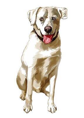 EPS 해외이미지 동물 디자인 행복 일러스트 자연 털 실험 서기 앉기 반려동물 노란색 라벨 검은색 기쁨 흰색 인사 개 리트리버 강아지 큼 스케치 래브라도리트리버 혀 그림 꼬리 창백 고립 기르기 심각 힘찬 벡터 순혈 해외202310 해외일러스트 감정 컬러 컨셉 포유류 모션 프레임 미술 예절 입 크기 생태계 돌봄 파일형식