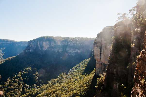 포토 JPG 해외이미지 나무 식물 공원 여행 백그라운드 잎 자연 산 이끼 사람없음 초록색 빛 햇빛 태양 환경 맑음 나뭇가지 호주 숲 장면 시드니 내추럴 깊이 해외202310 해외포토 자연요소 공공시설 컬러 날씨 오세아니아 생태계 파일형식