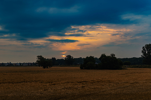 포토 JPG 해외이미지 나무 구름 계절 공원 유럽 도로 길 섬 여행 밭 자연 하늘 풍경 사람없음 야외 초록색 물 여름 파란색 빛 강 태양 뷰티 반사 일출 환경 침묵 숲 장노출 폴란드 내추럴 브로츠와프 해외202310 해외포토 자연요소 식물 공공시설 나라 컬러 농업 교통시설 촬영기법 노을 소리 생태계 파일형식