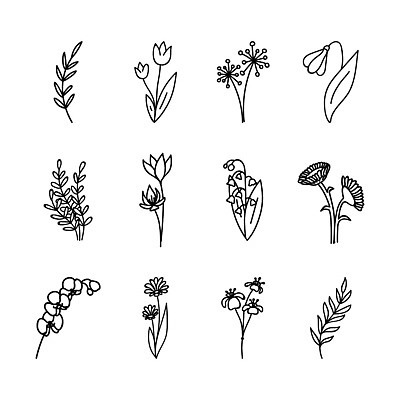 EPS 해외이미지 식물 꽃 결혼 잎 꽃무늬 일러스트 자연 흑백 미술 그래픽 장식 여름 세트 뷰티 정원 검은색 봄 수확 벚꽃 나뭇가지 시골 낙서 스케치 수집 허브 심볼 그림 유기농 심플 손그림 내추럴 고립 스칸디나비아 엘리먼트 벡터 브랜딩 그리너리 미니멀리스트 강조 해외202310 해외일러스트 나무 웰빙 계절 컬러 무늬 농업 문화예술 촬영기법 이벤트 생태계 파일형식 트랜드컬러