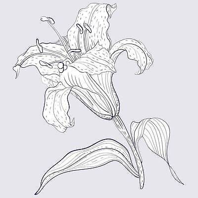 EPS 해외이미지 식물 꽃 별 선 컬러 꽃무늬 일러스트 자연 동양인 장식 파란색 뷰티 보라색 수확 벚꽃 개화 우아함 낙서 스케치 제비꽃 복고 윤곽 창백 해외202310 해외일러스트 자연요소 컨셉 무늬 농업 미술 인종 생태계 파일형식 벡터