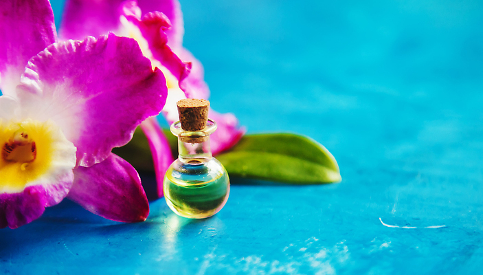 포토 JPG 해외이미지 배너 꽃 백그라운드 자연 유리병 건조 가면 사람없음 물 스파 화장품 수확 투명 난초 작음 수집 허브 질감 복고 기념품 로션 라벤더 내추럴 추출 해외202310 해외포토 자연요소 식물 농업 병_용기 뷰티 크기 오브젝트 생태계 파일형식