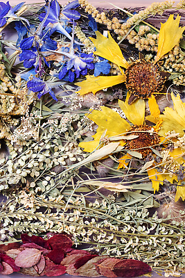 포토 JPG 해외이미지 식물 계절 꽃 꽃다발 백그라운드 단풍 잎 꽃무늬 오렌지 자연 건조 미술 사람없음 내부 장식 빨간색 세로 인테리어 장미 노란색 낭만 수확 가을 시골 우아함 꽃집 내추럴 구성 이국적 스타일 해외202310 해외포토 디자인 컬러 컨셉 무늬 농업 과일 문화예술 상점 생태계 파일형식