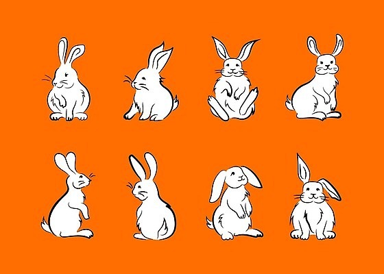 EPS 해외이미지 클립아트 동물 종이 어린이 일러스트 포유류 가정 부활절 잉크 흑백 창조 미술 서기 앉기 컴퓨터그래픽 눕기 기쁨 흰색 직물 토끼 그룹 낙서 스케치 수집 심볼 라인아트 보따리 심플 윤곽 귀 해외202310 해외일러스트 기념일 감정 선 컬러 모션 문화예술 촬영기법 사람 신체부위 그래픽 반려동물 파일형식 벡터