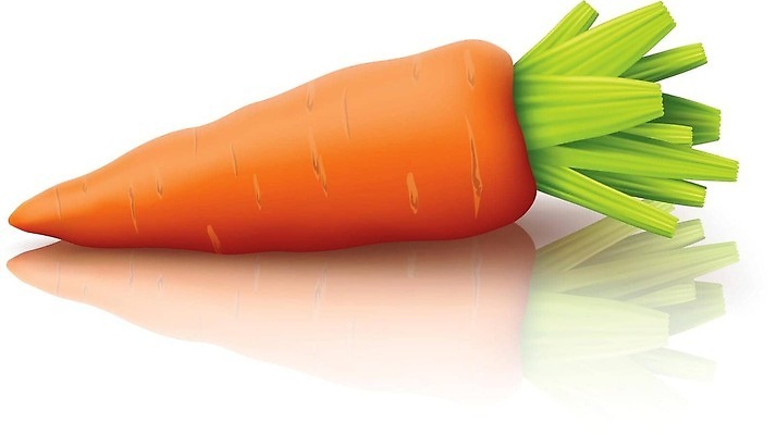 EPS 해외이미지 식물 1 음식 줄기 백그라운드 잎 채소 오렌지 과일 일러스트 재료 자연 실내 건강 빨간색 초록색 노란색 식사 활발 당근 샐러드 흰색 신선 달콤 자르기 오브젝트 싱글 흰배경 유기농 날것 뿌리 흙더미 건강식 고립 숙성 식용 채식주의자 맛있는 해외202310 해외일러스트 웰빙 컬러 컨셉 모션 뿌리채소 내부 흙 맛 생태계 채식 파일형식 벡터 더미