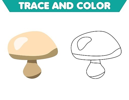 EPS 해외이미지 식물 교육 어린이 컬러 채소 일러스트 책 초록색 물 갈색 페인트 유치원 게임 연못 만화 레몬 허브 심볼 그림 윤곽 페이지 아보카도 벡터 해외202310 해외일러스트 자연요소 과일 놀이 사람 파일형식